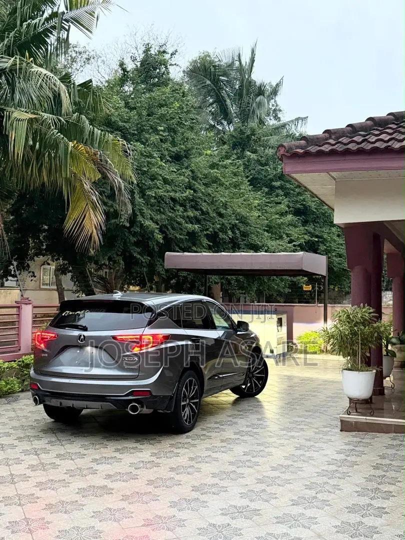 Acura RDX 2025 Gray