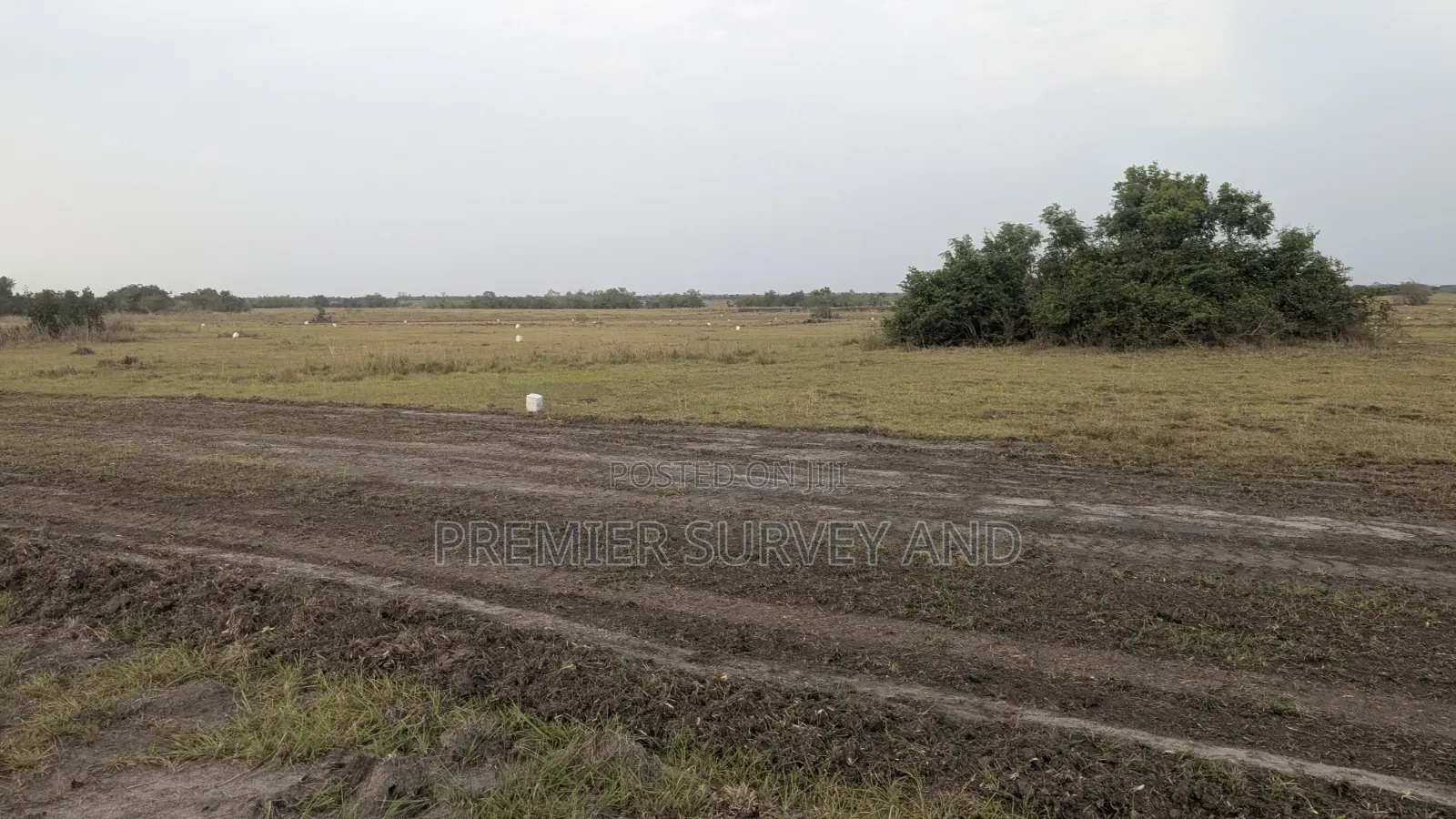 Land Survey and Documentation