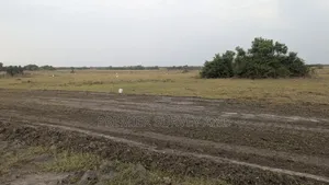 Land Survey and Documentation