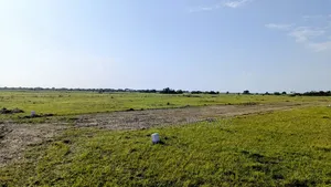 Land Survey and Documentation