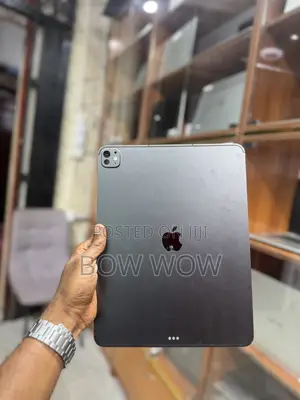 Apple iPad Pro 13 (2024) 256 GB Gray