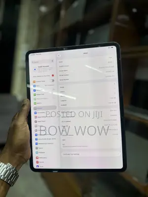 Apple iPad Pro 13 (2024) 256 GB Gray