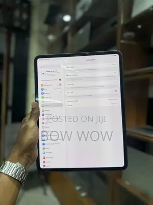 Apple iPad Pro 13 (2024) 256 GB Gray