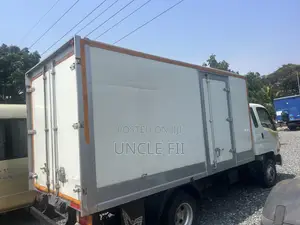 Hyundai Gold Freezer Car