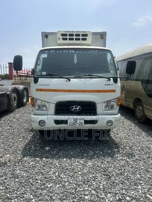 Hyundai Gold Freezer Car