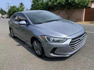 Hyundai Elantra ECO Sedan FWD (1.4L 4cyl 7A) 2017 Silver