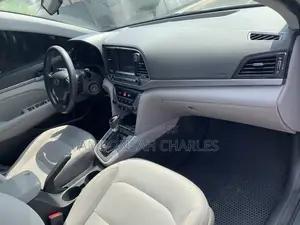 Hyundai Elantra ECO Sedan FWD (1.4L 4cyl 7A) 2017 Silver