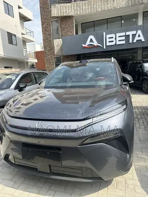 New BYD Tang DM-i 2025 Gray