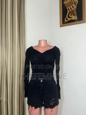 Black Long Sleeve Zara Crop Top