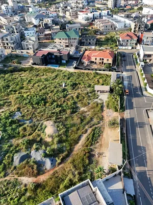Titled 4 Plots at Tse Addo Burma Hills