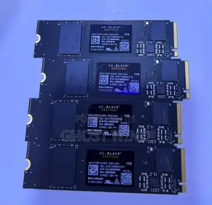 Western Digital SSD