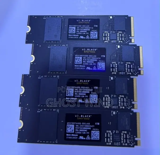 Western Digital SSD
