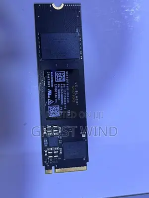 Western Digital SSD