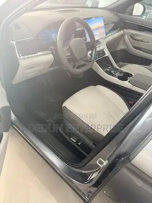 New BYD Song Plus 2025 Gray