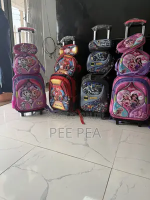 3 in 1 School Bags With Trolley
