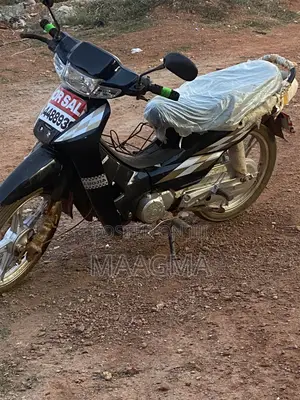 Luojia 110cc 2017 Black