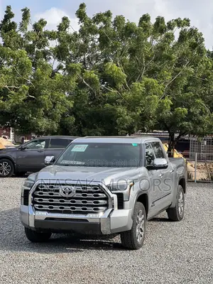 Toyota Tundra 1794 2022 Silver