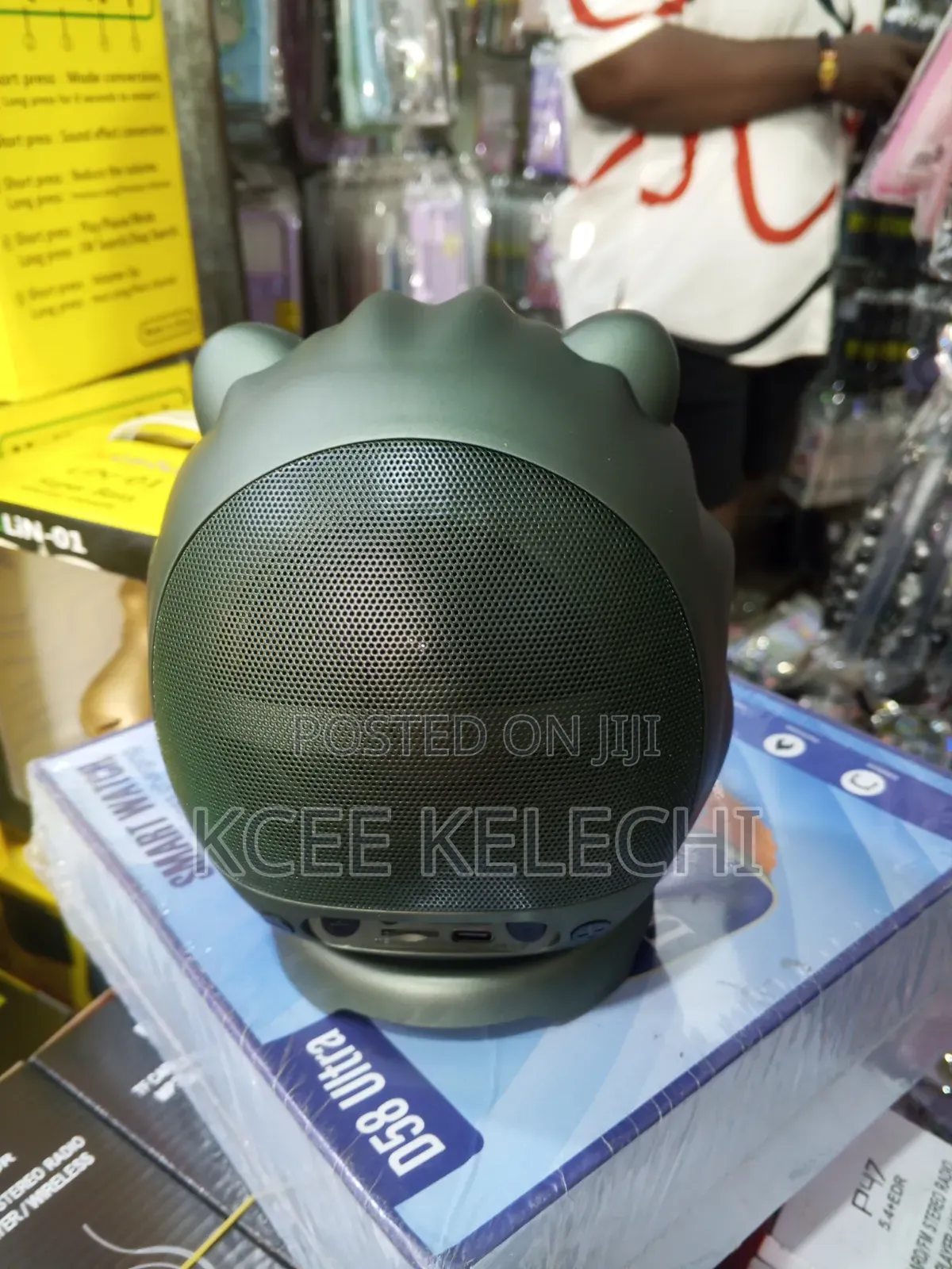 Lion Speaker