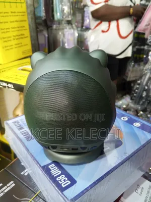 Lion Speaker
