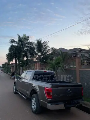 Ford F-150 2022 Gray