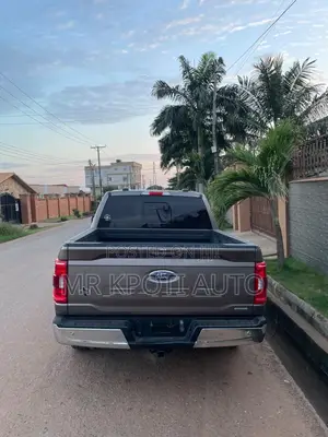 Ford F-150 2022 Gray