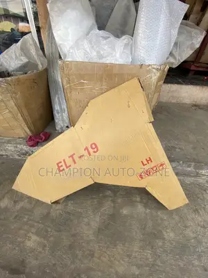Hyundai Elantra 2019 -2020 Fender