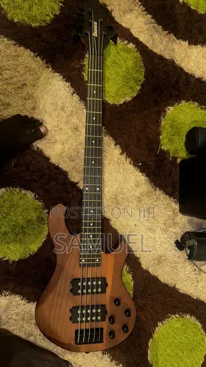 Bass Guitar