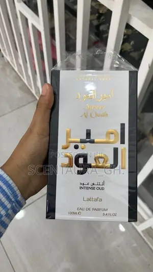 Ameer Al Oud