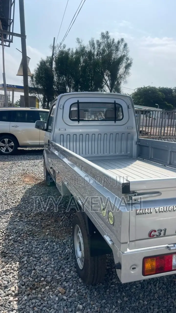 Mini Truck
