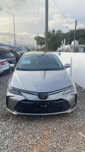 Toyota Corolla 2023 Gray