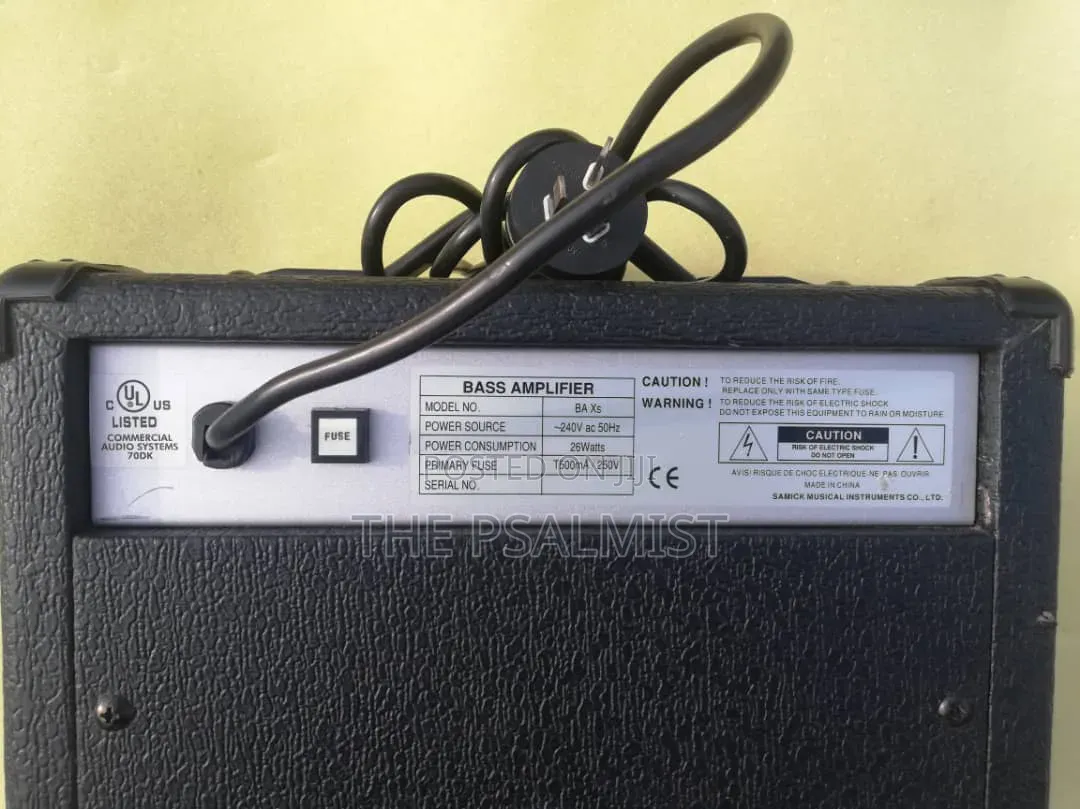Precision Audio PA 40 Bass
