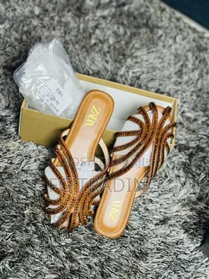 Zara Slippers _ Brown Zara Slippers