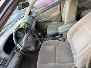 Toyota Camry 2010 Gray