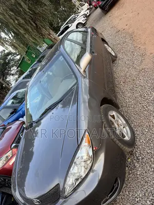 Toyota Camry 2010 Gray