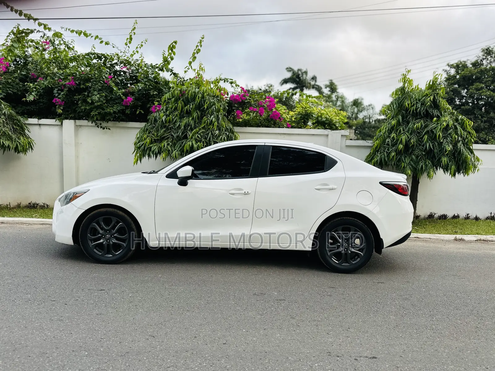 Toyota Corolla 2019 White
