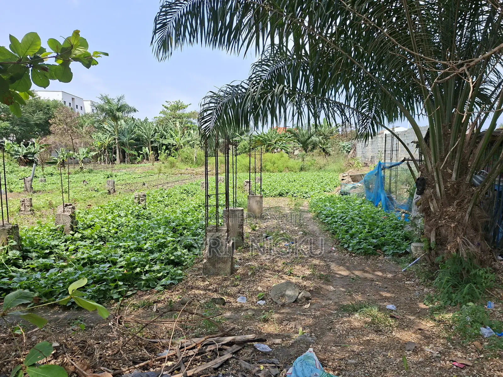 1.5 Acres of Land for Sale in Airport Residential