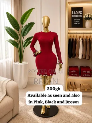Ladies Dresses 