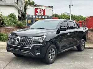 Great Wall Pao 2025 Black