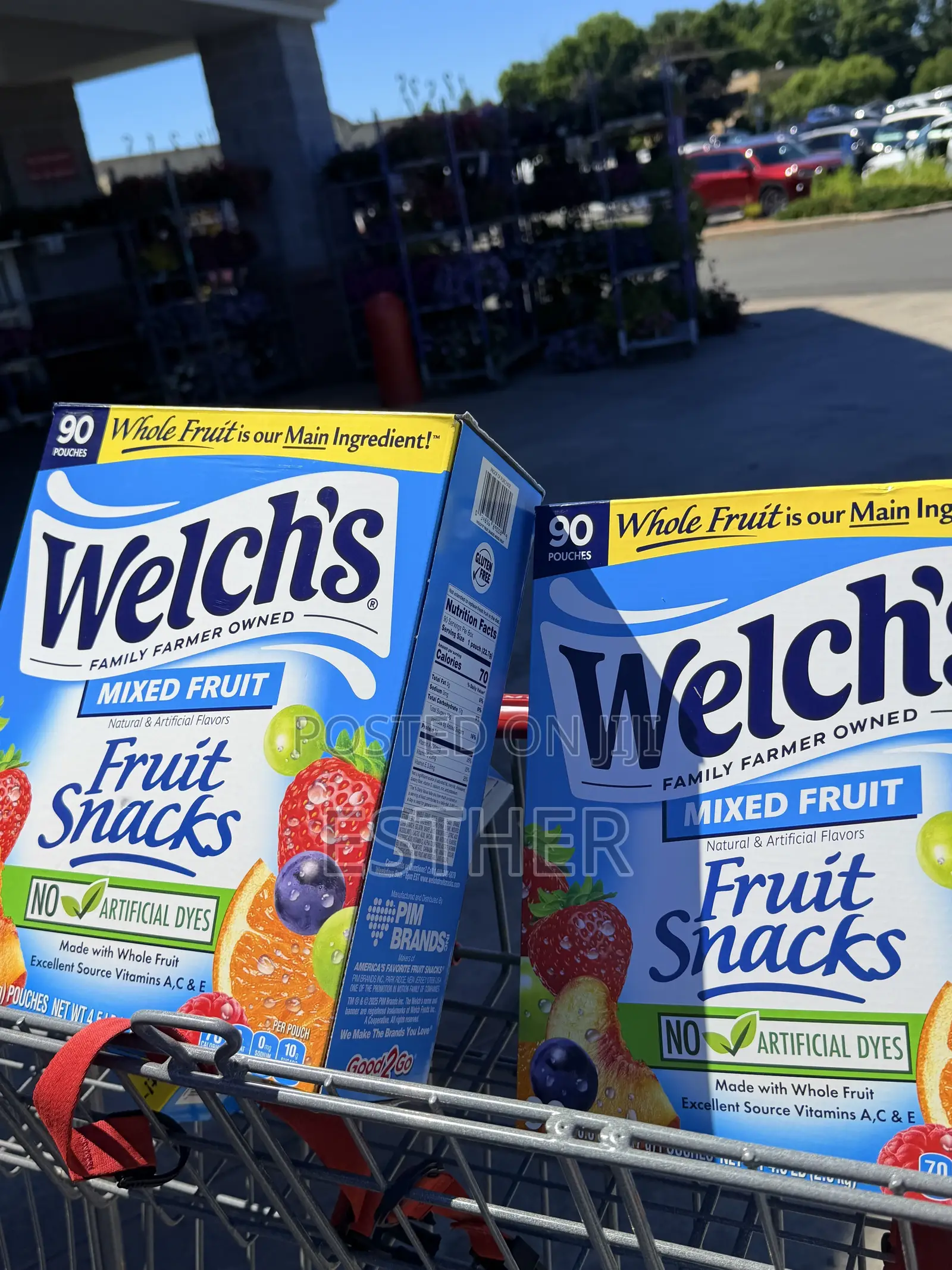 Welch’s Fruit Snacks