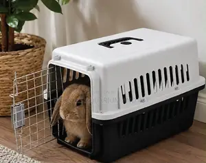 Noen RAbit Cage