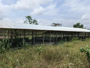 Poultry Farm for Sale ( Near Anwiankwata,Obuasi)