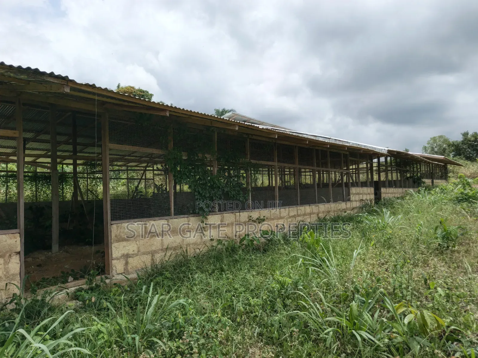 Poultry Farm for Sale ( Near Anwiankwata,Obuasi)