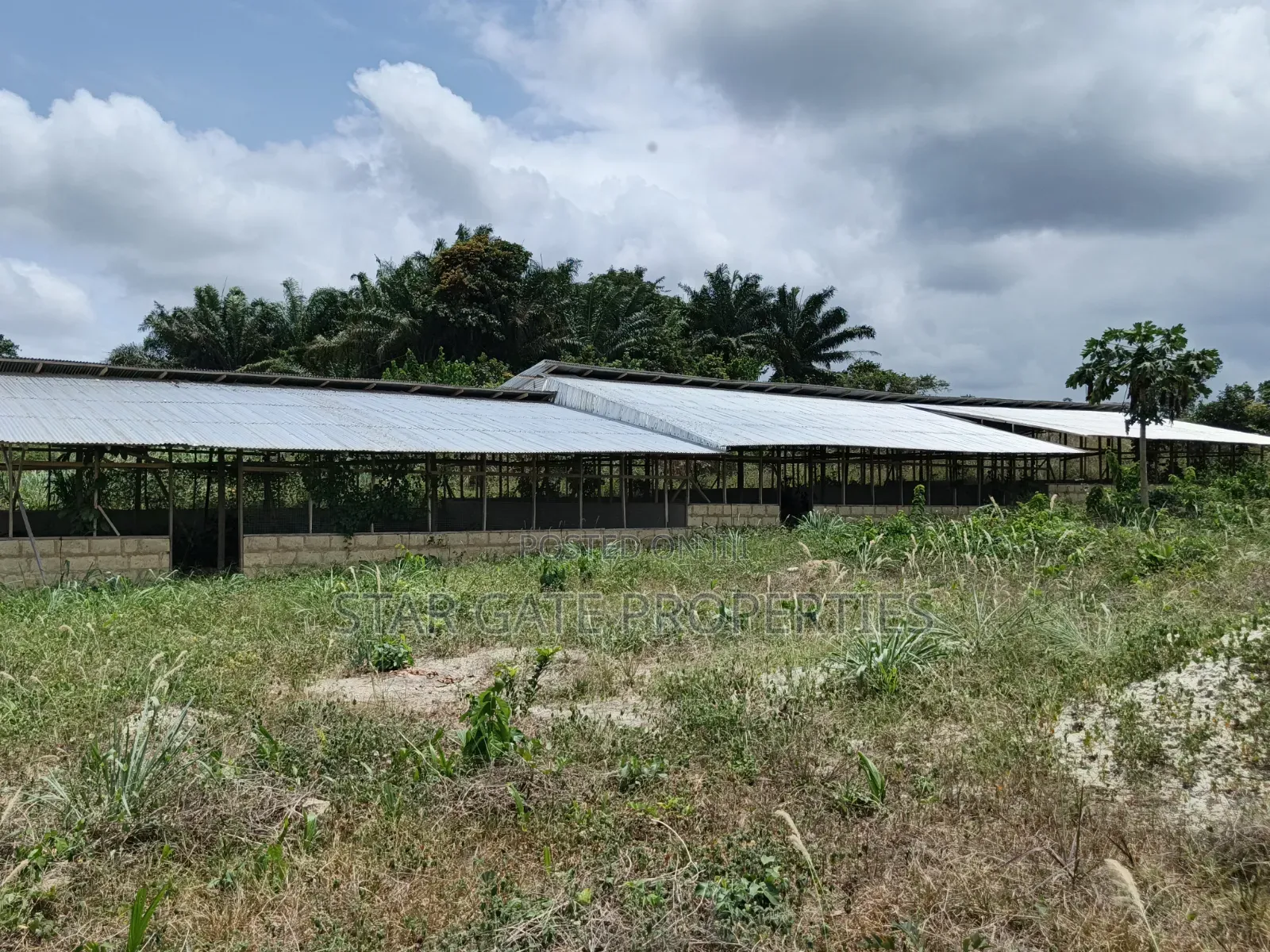 Poultry Farm for Sale ( Near Anwiankwata,Obuasi)