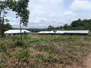 Poultry Farm for Sale ( Near Anwiankwata,Obuasi)