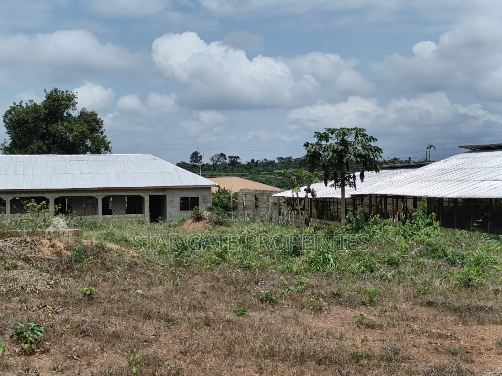 Poultry Farm for Sale ( Near Anwiankwata,Obuasi)