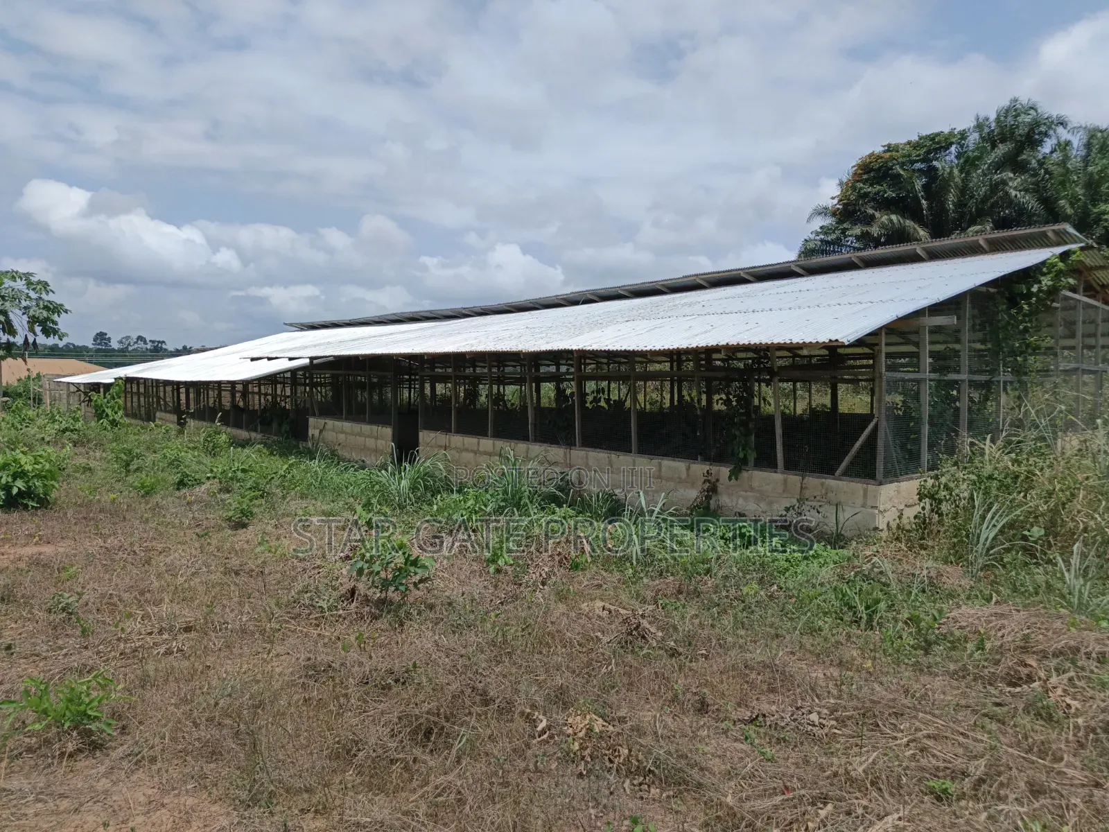 Poultry Farm for Sale ( Near Anwiankwata,Obuasi)