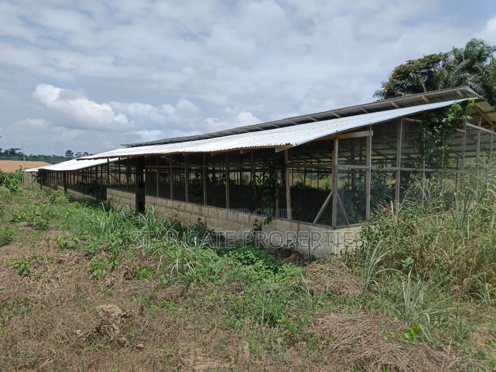 Poultry Farm for Sale ( Near Anwiankwata,Obuasi)