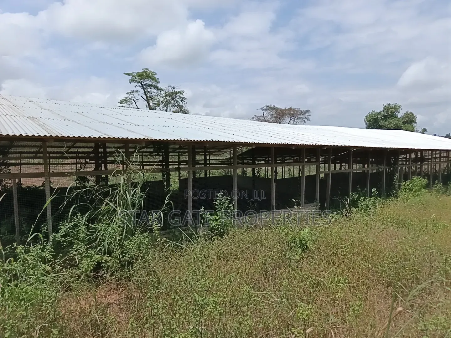 Poultry Farm for Sale ( Near Anwiankwata,Obuasi)