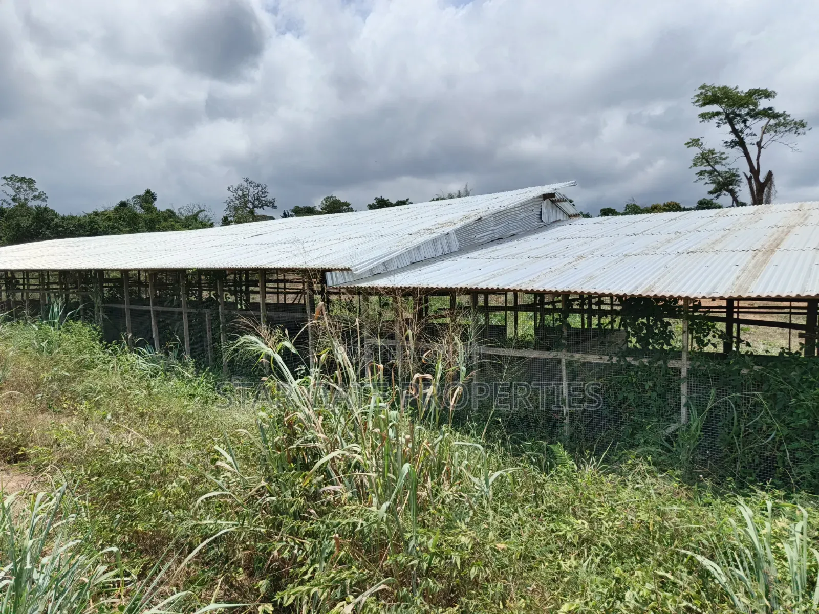 Poultry Farm for Sale ( Near Anwiankwata,Obuasi)