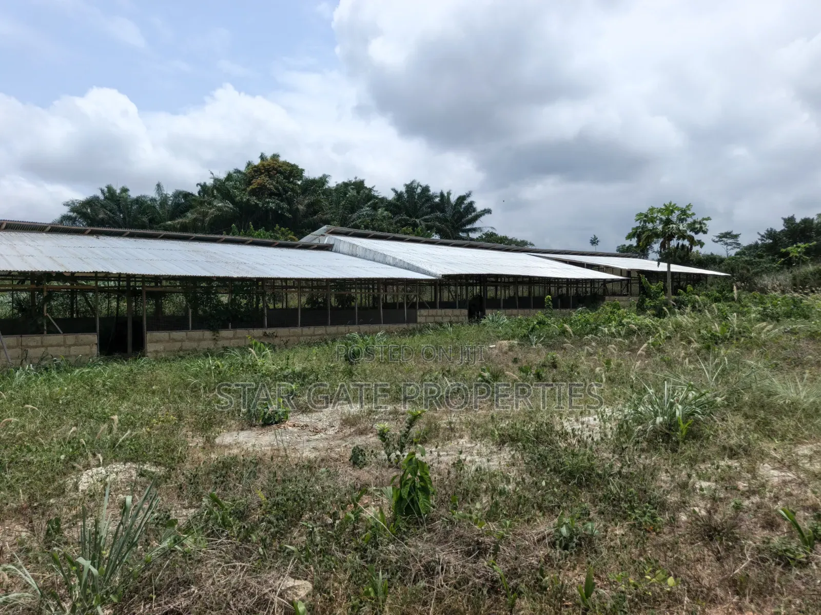 Poultry Farm for Sale ( Near Anwiankwata,Obuasi)